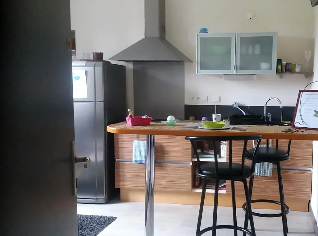 فندق رينزفي  Ange Blaize فرنسا